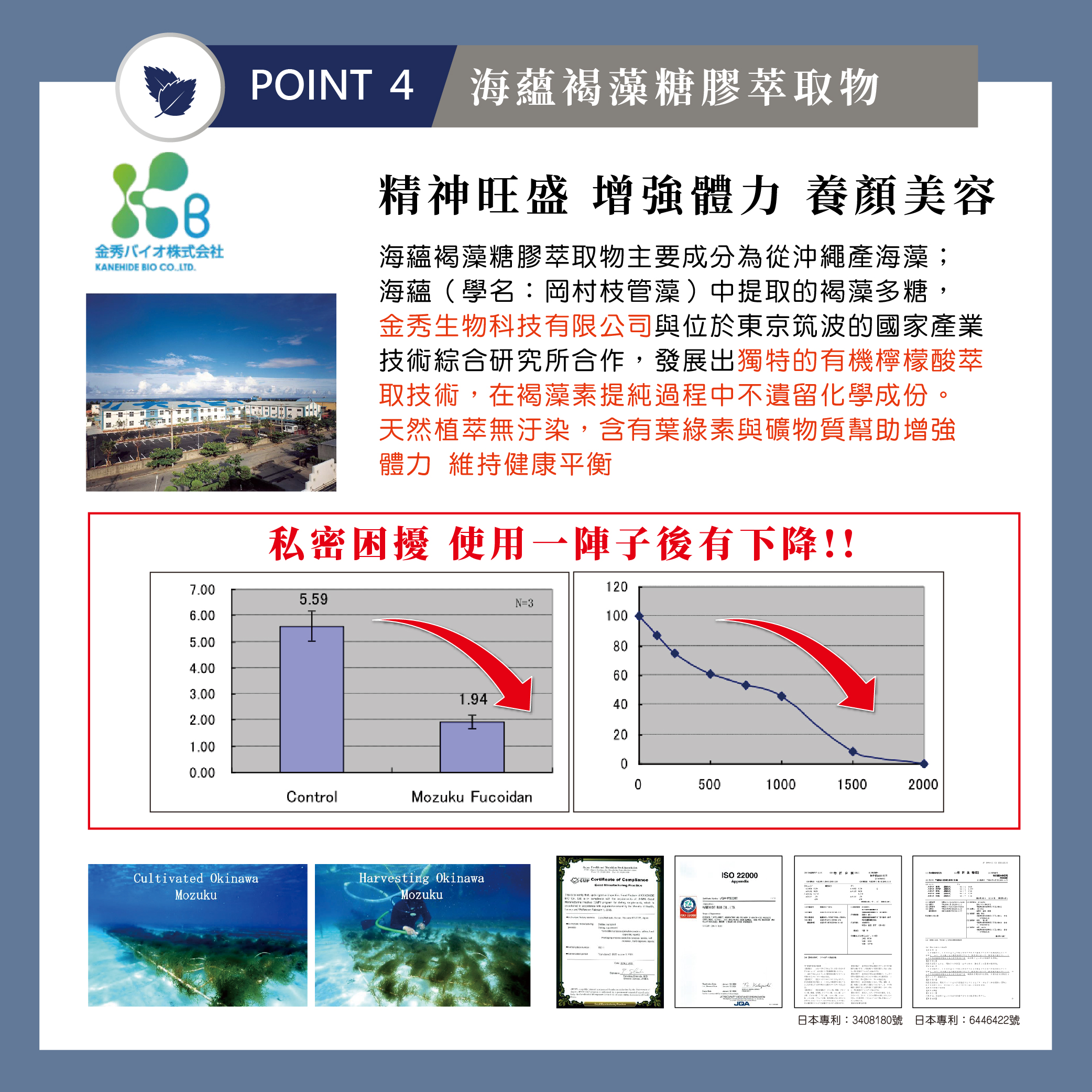 攝正王_EDM-8