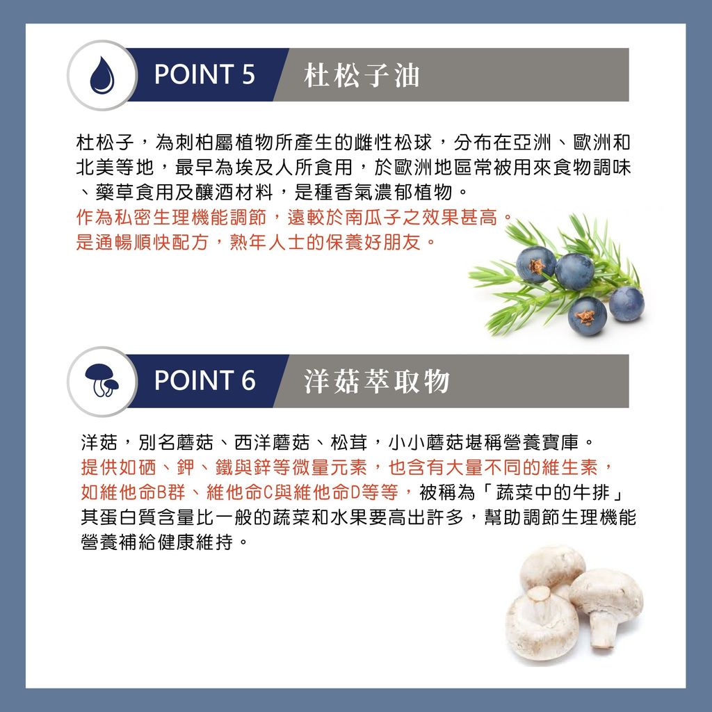 攝正王_EDM-9