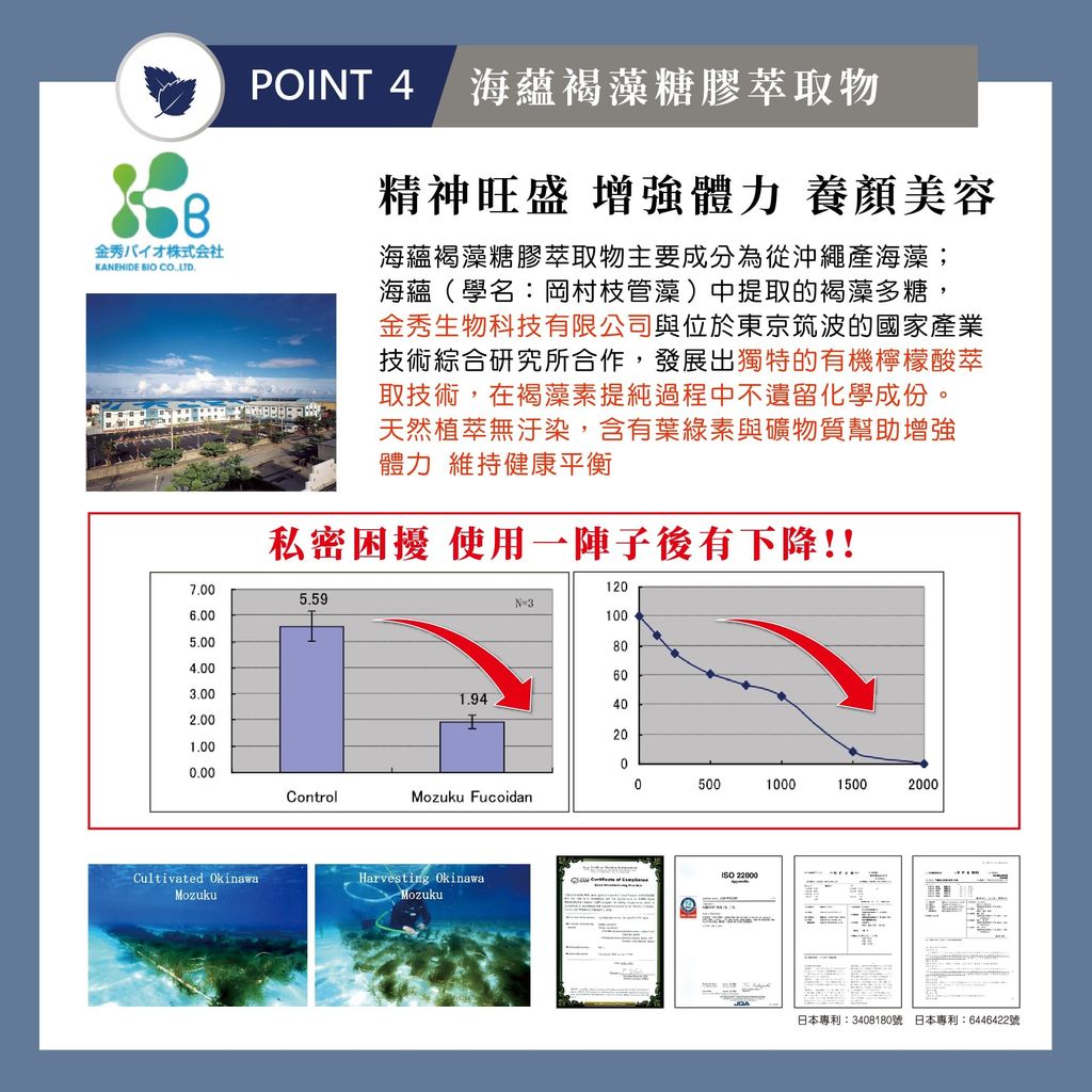 攝正王_EDM-8
