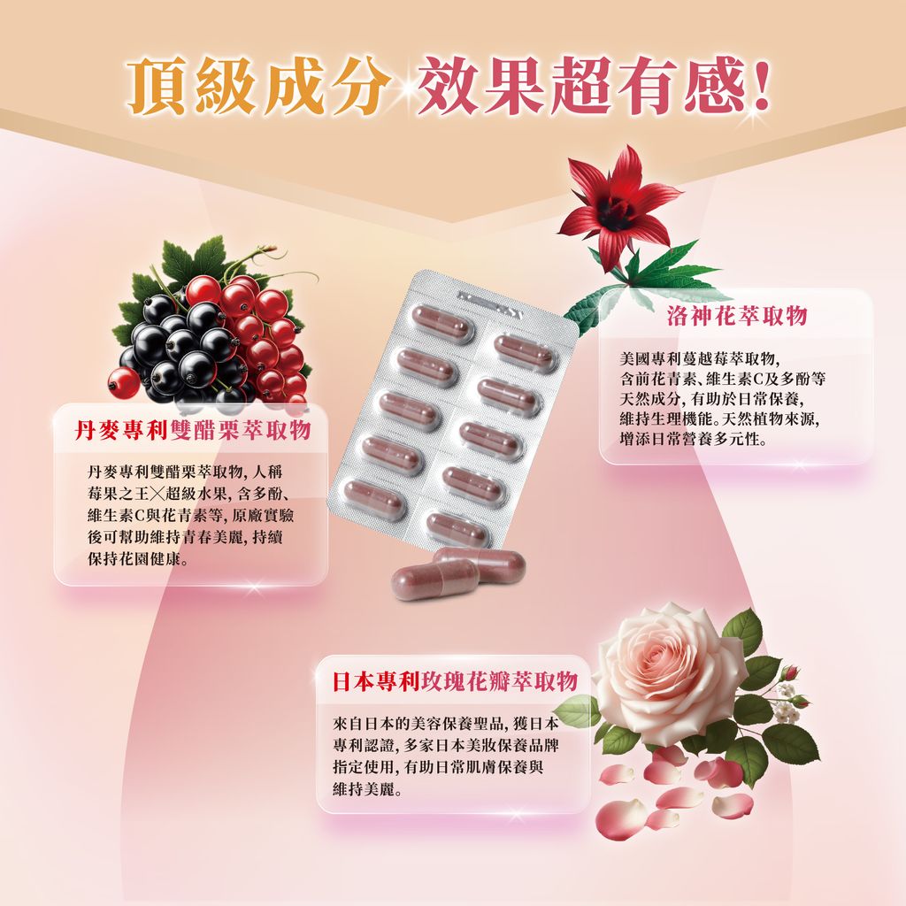 漂亮寶貝_EDM -5