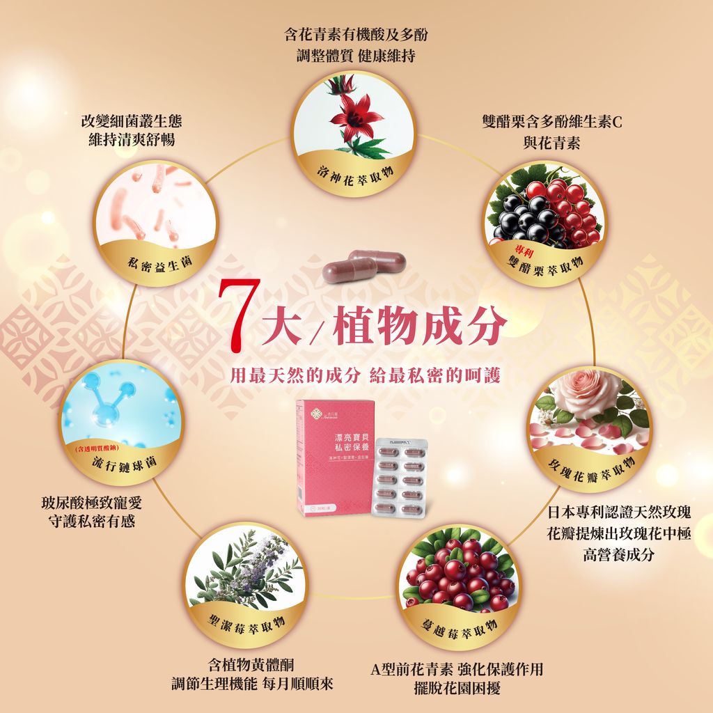 漂亮寶貝_EDM -4