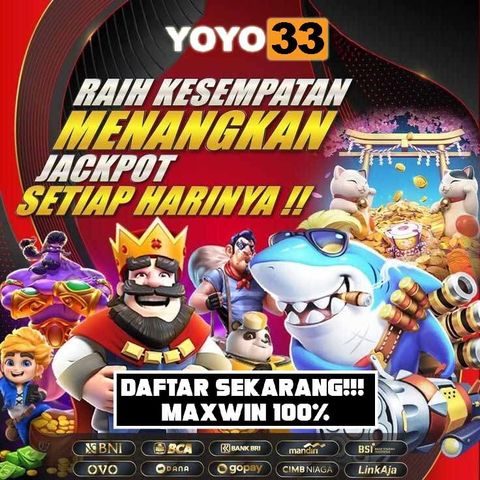 yoyo33 30-7-2024-2