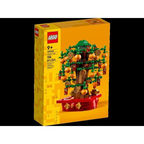 tw-11134207-7rbk0-m9xwj8xrott303