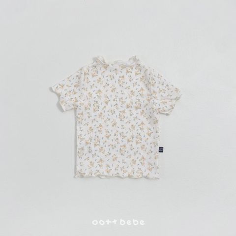 1772123869_3666129377