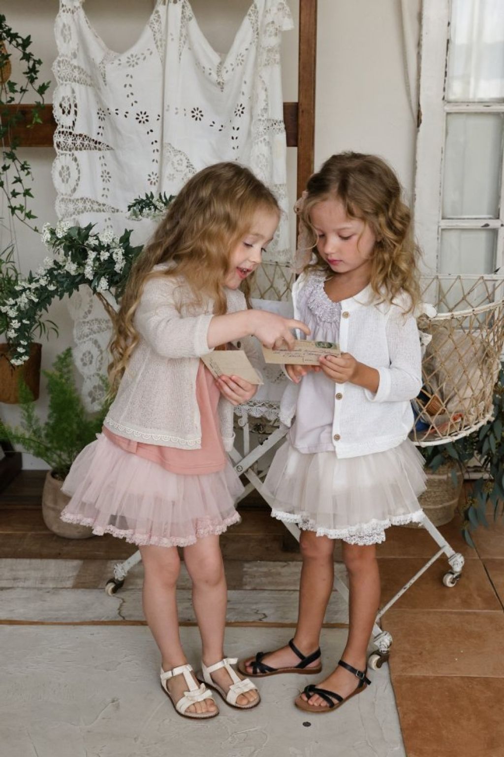 1774402293_2109932626