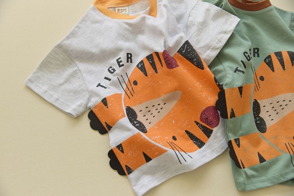 1773251006_5368119865