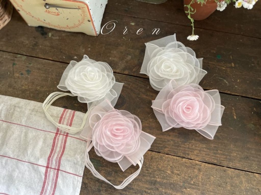 1774905559_9647526030