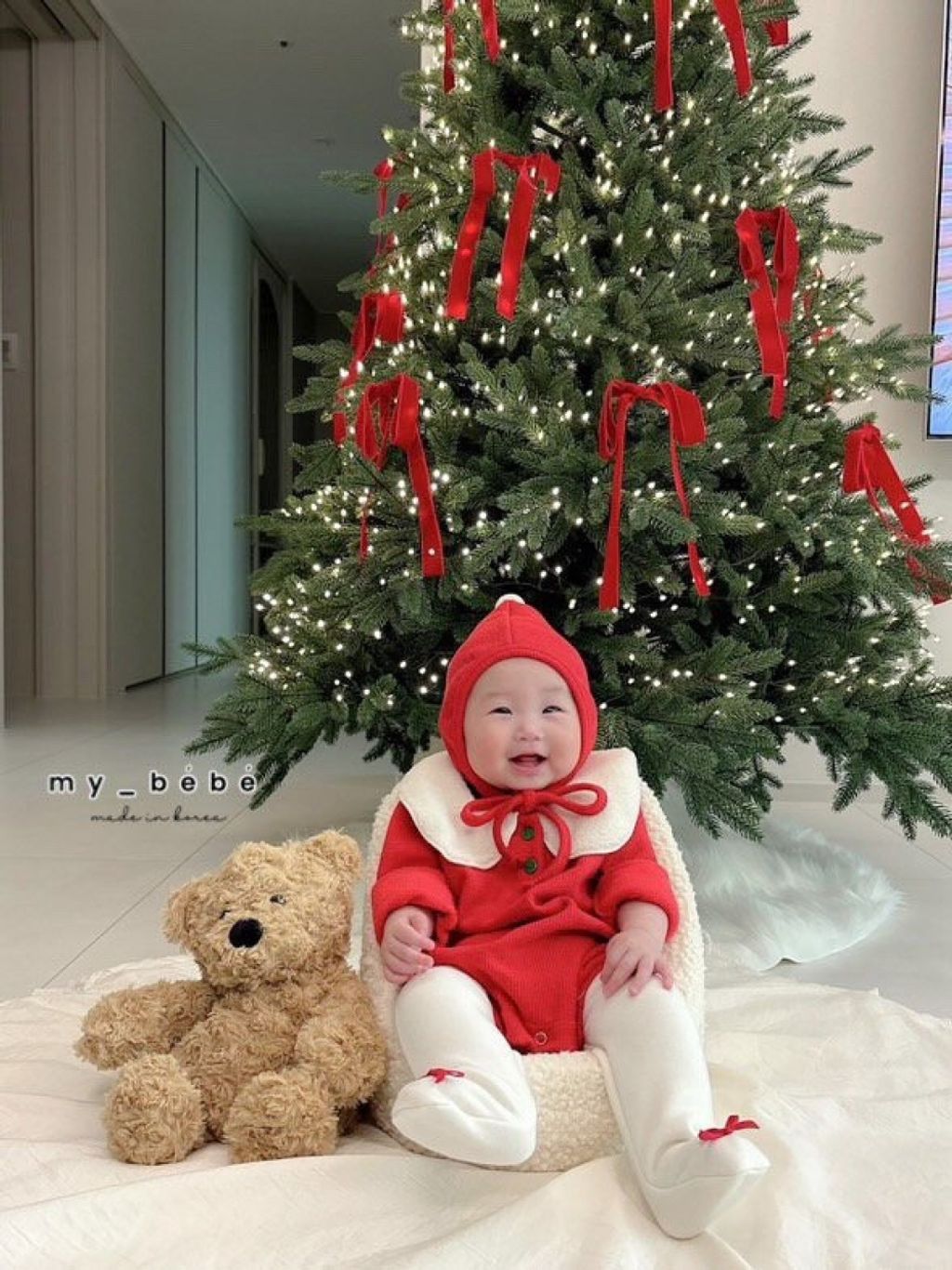 IMG_8598-1733113504492