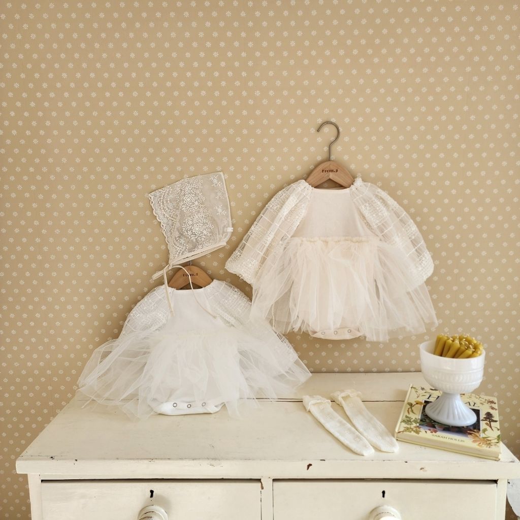 1739411581_2884548619