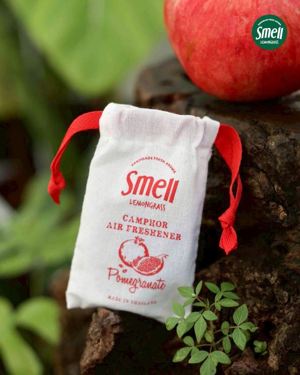 image_6D81FB43-3193-4A98-BAE9-3E97866795AF_1752195209