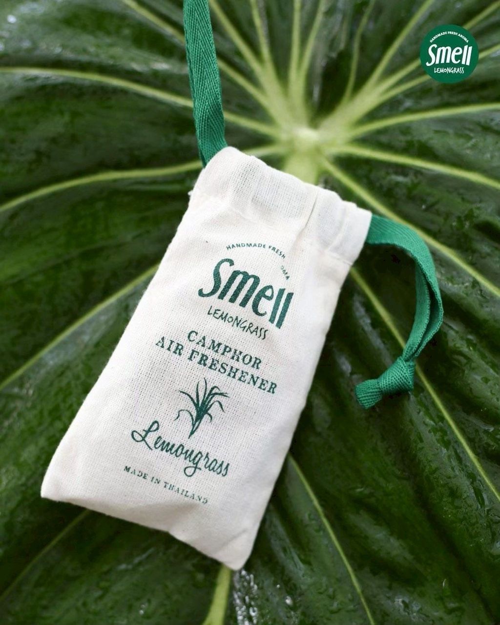 image_74FABACB-2B06-4E90-B5A3-EB096E7D42C5_1752195209