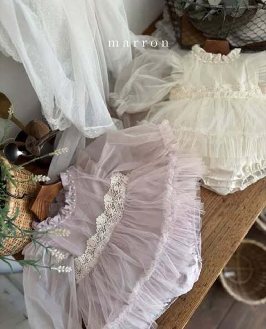 597039635_3877291329235454_676463940131106613_n