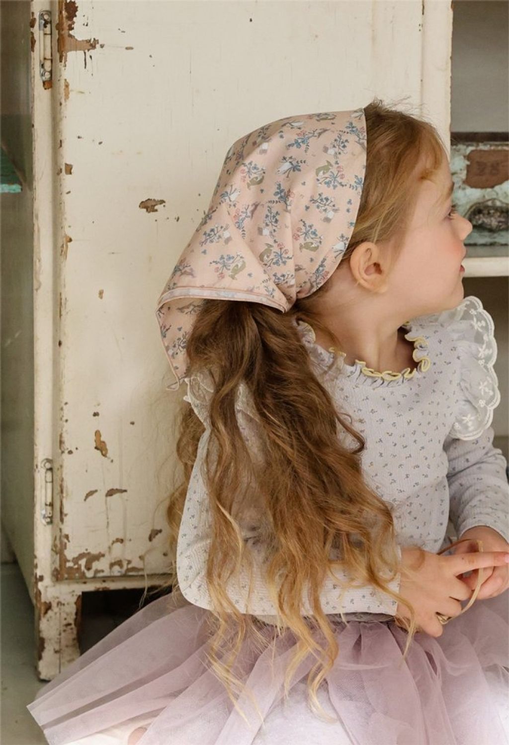 1768265245_4716735311