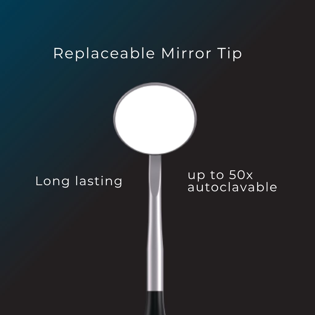 sani mirror 3