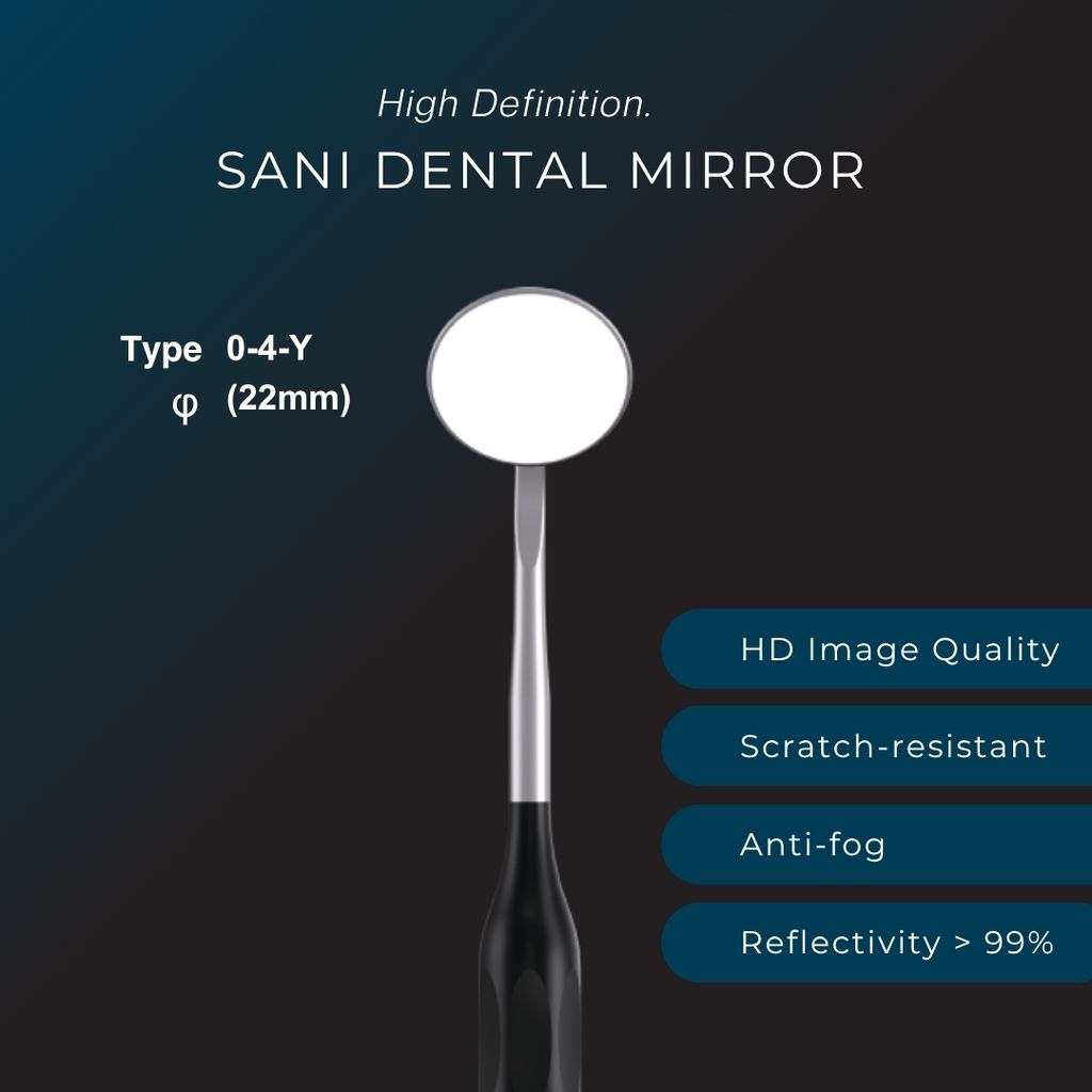 sani mirror 1
