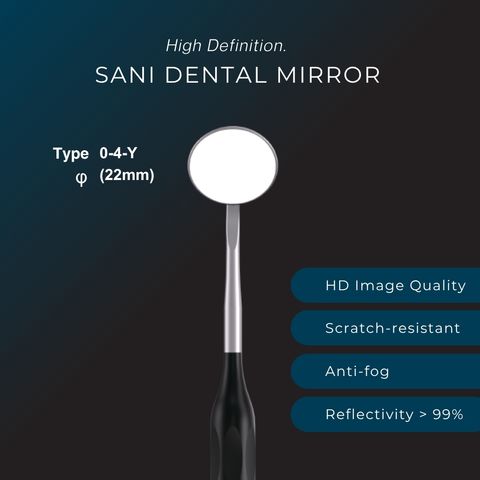 sani mirror 1