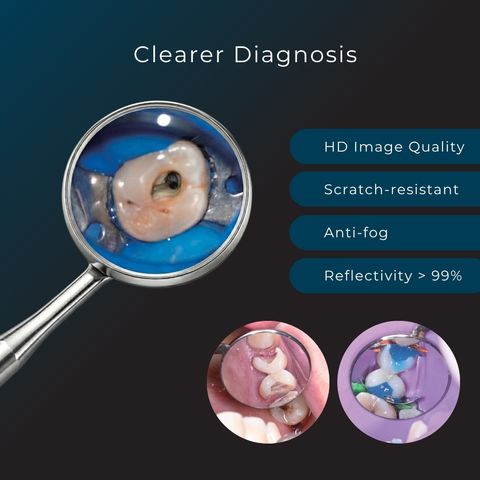 sani mirror 2