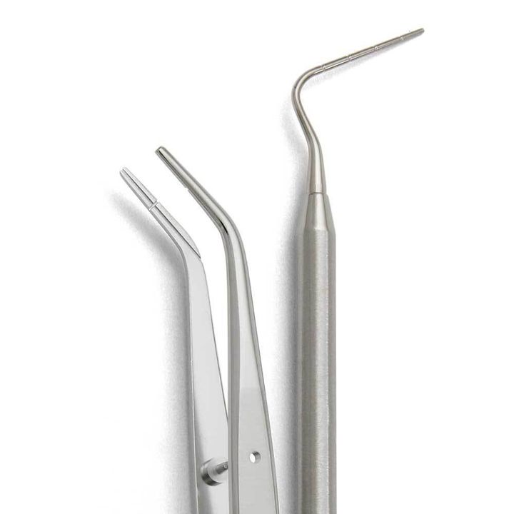 endodonzia