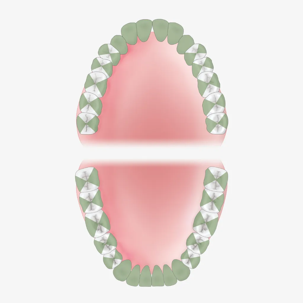 Mouth-Guide_AEDGMAXPX