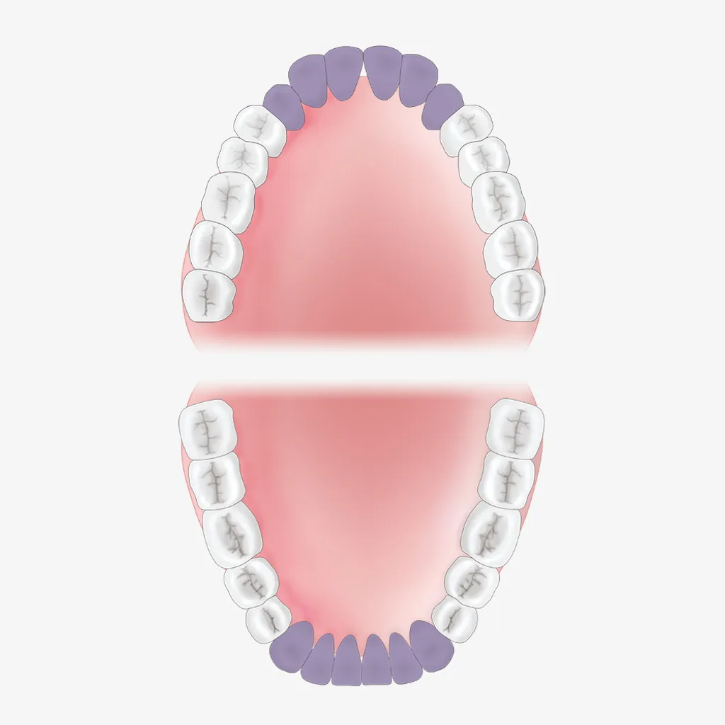 Mouth-Guide_G00-2