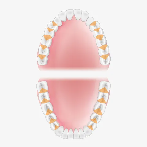 Mouth-Guide_G11-16