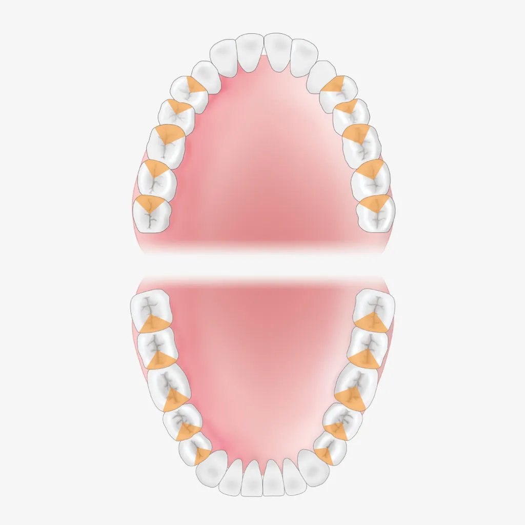 Mouth-Guide_G11-16