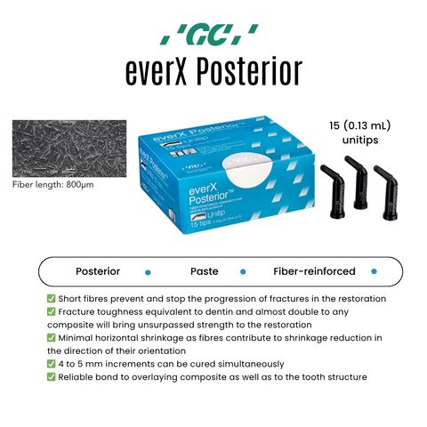 GC everX Posterior 1