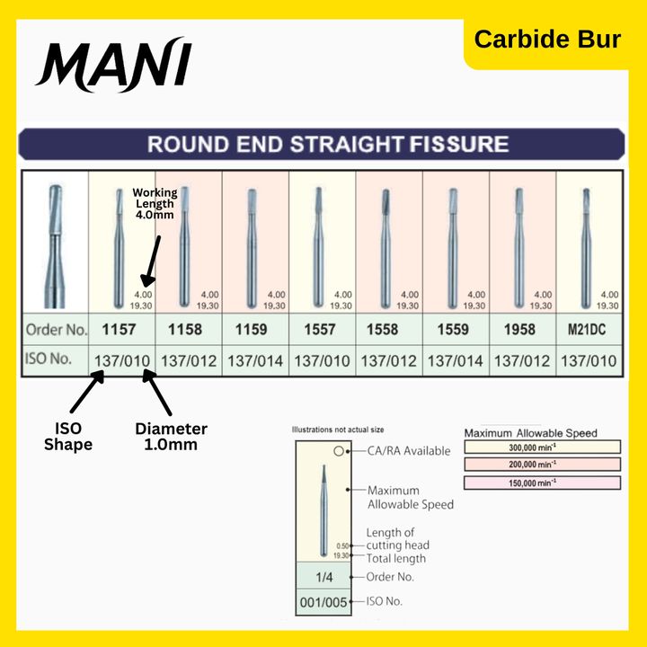 Mani Carbide Round End Straight Fissure