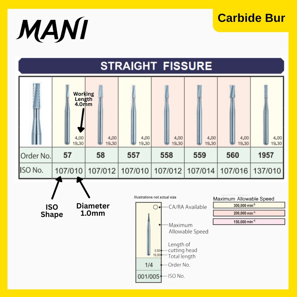 Mani Carbide Straight Fissure