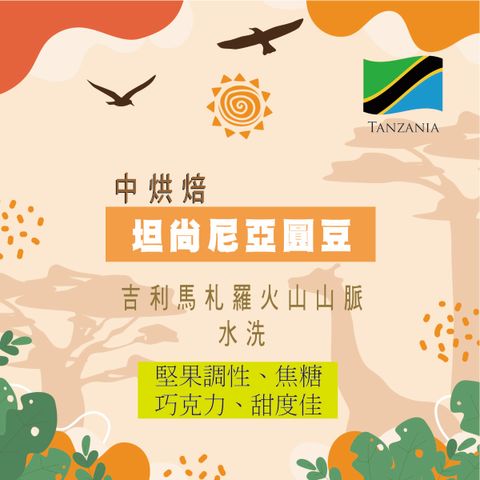 坦尚尼亞圓豆-01