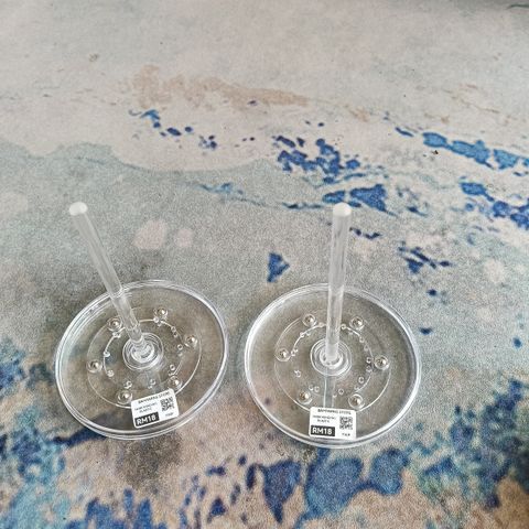 IMG20250628131917