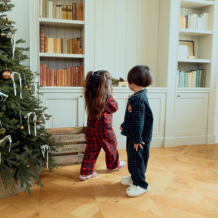 imgi_9_FS24BNX5101417_144E