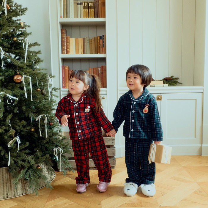 imgi_7_FS24BNX5101417_154C