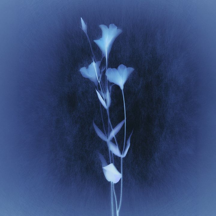 cc19e814761e61a1d4a6917b3f6ec0eb