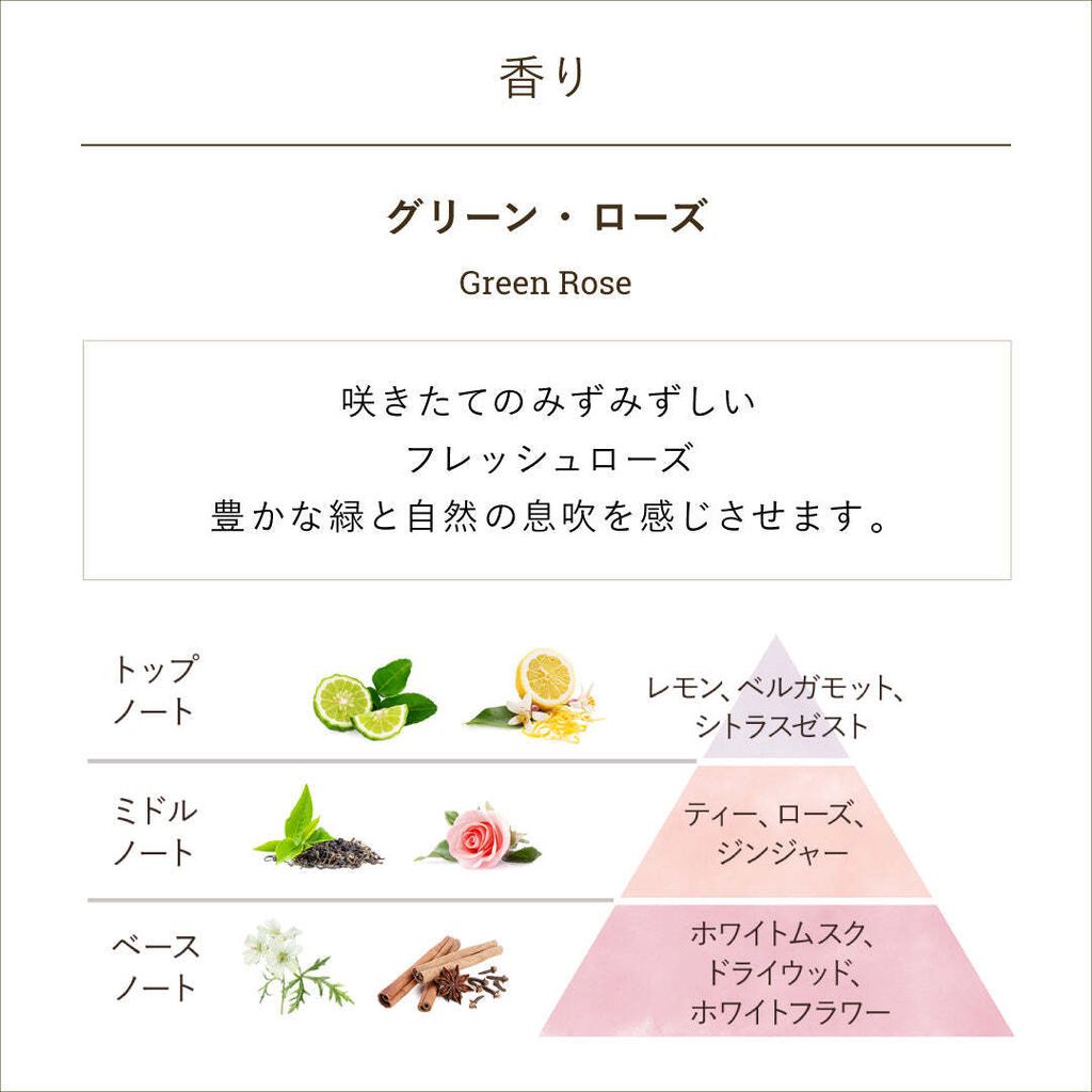 30308091_fragrance_green_rose