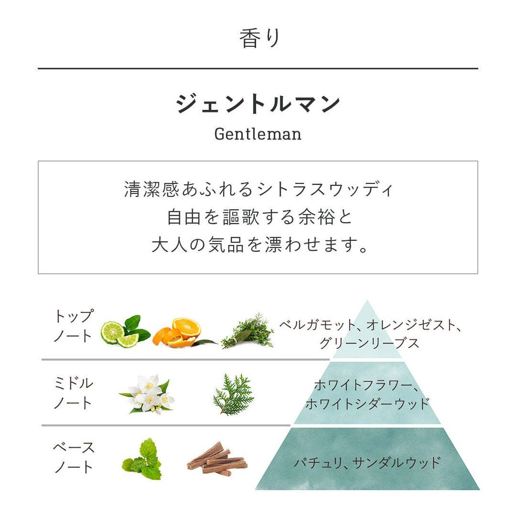 10600541_fragrance_gentleman