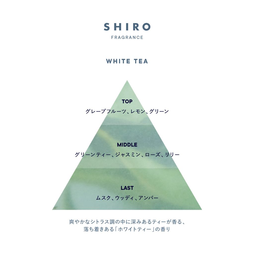 whitetea_triangle-logo