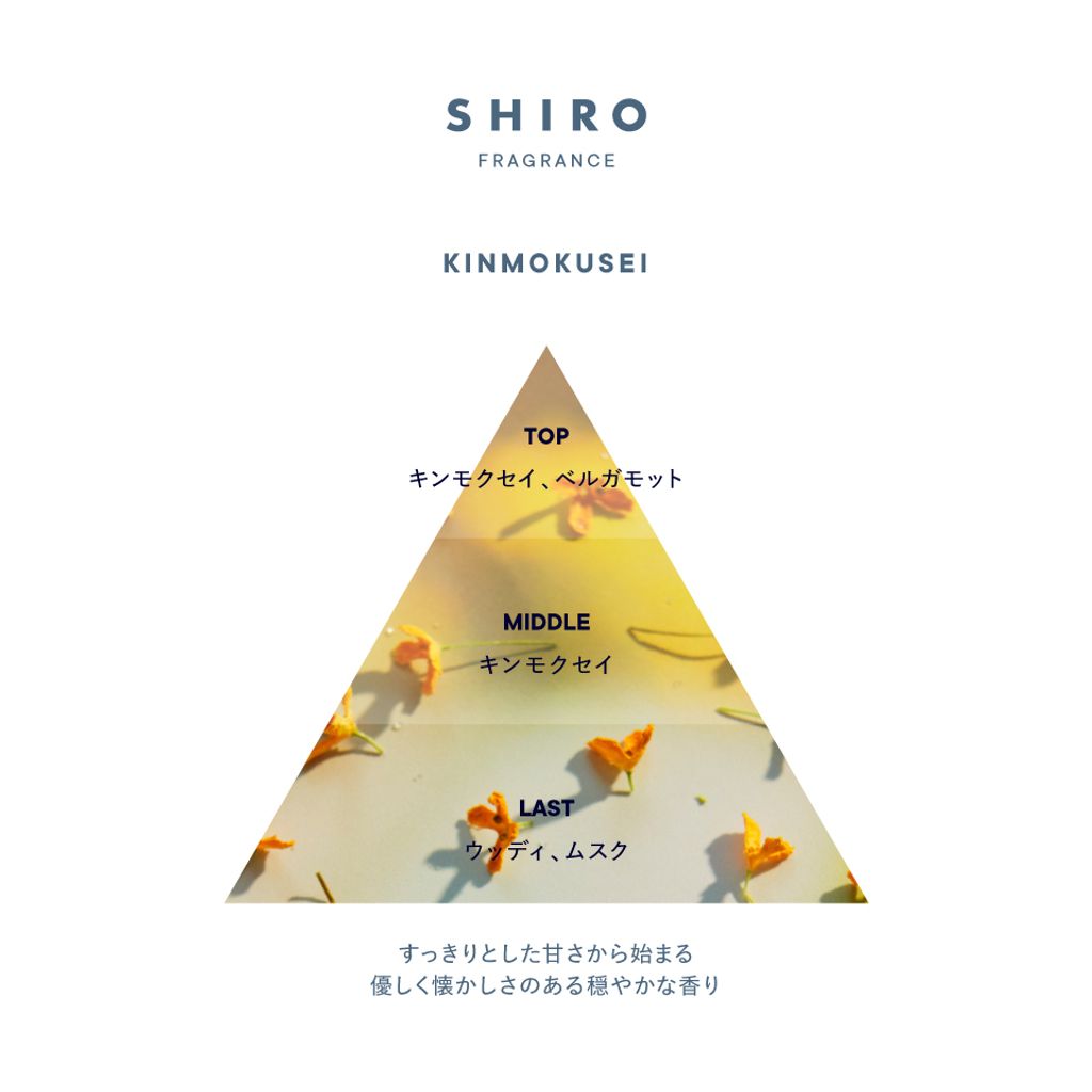kinmokusei_triangle-logo