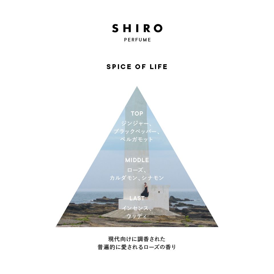 spiceoflife_triangle