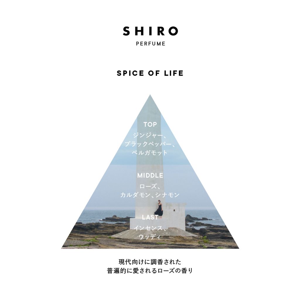 spiceoflife_triangle