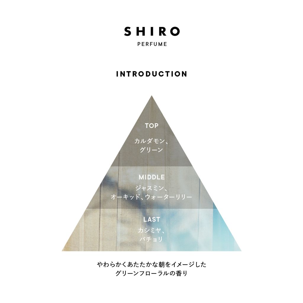 introduction_triangle