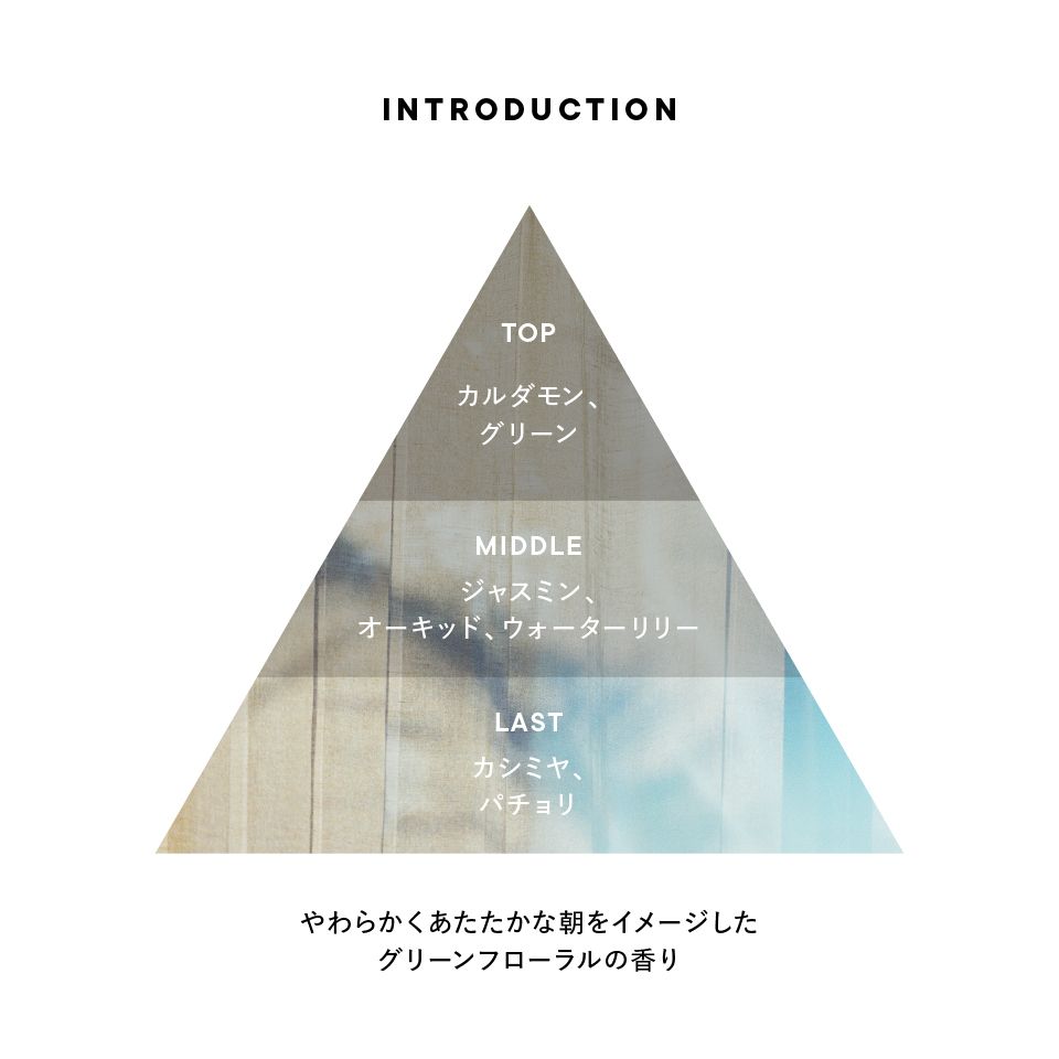 introduction_triangle