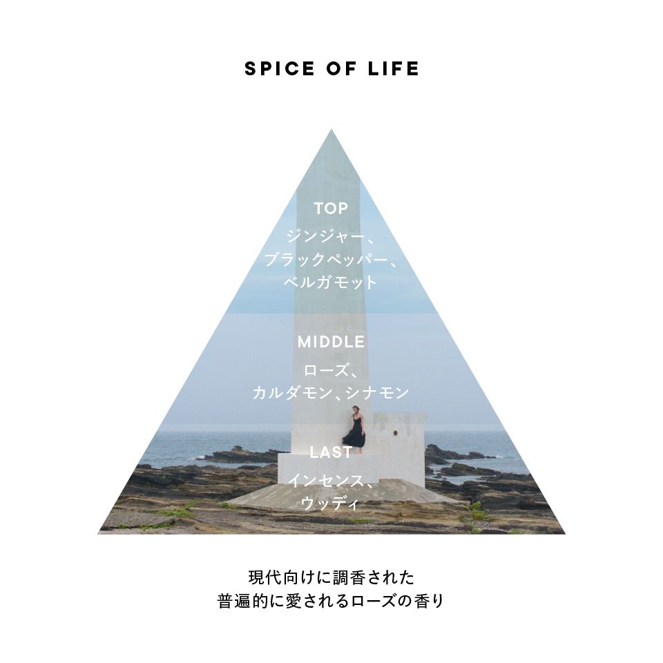 spiceoflife_triangle