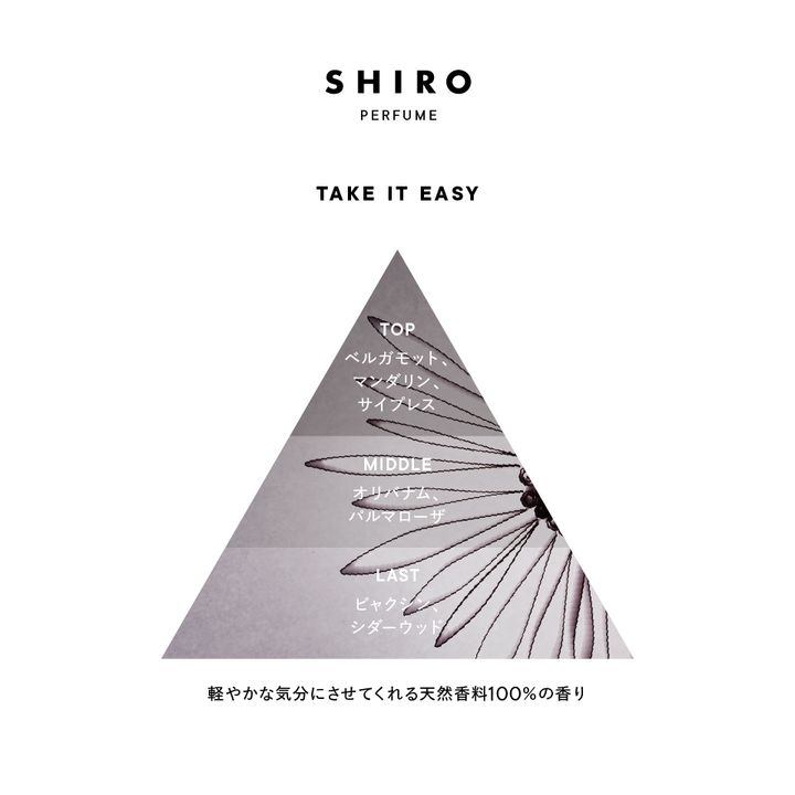 takeiteasy_triangle