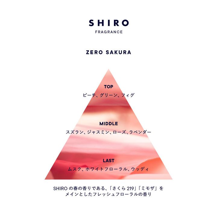 zero_sakura_2025_triangle