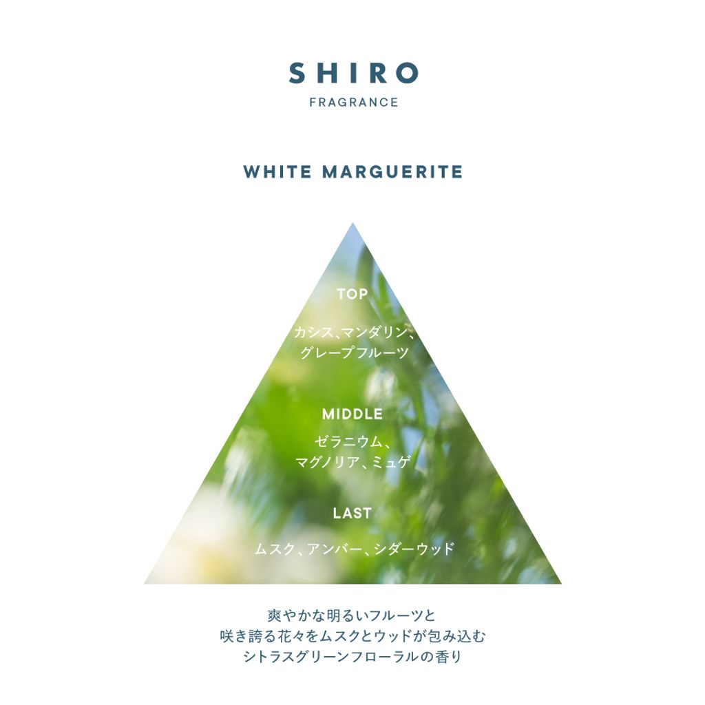 white-marguerite_2026_triangle-logo