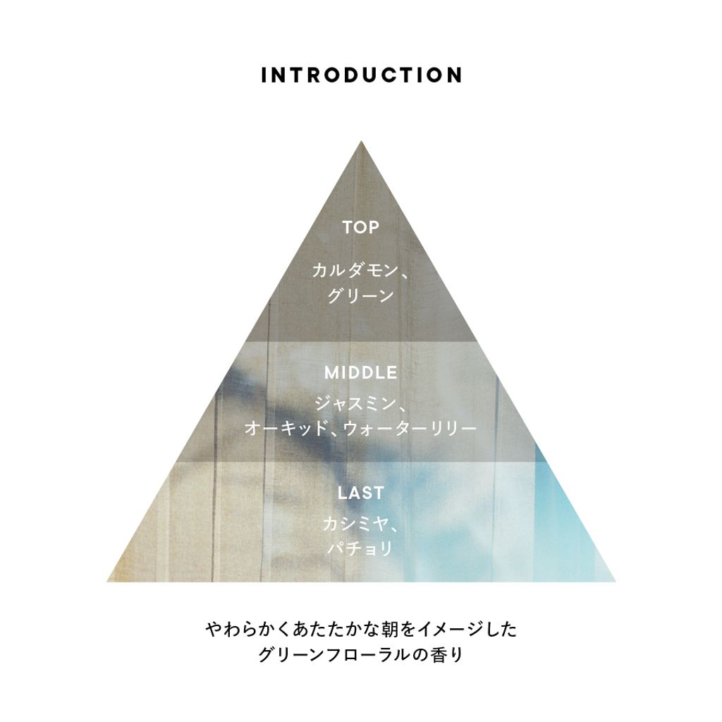 introduction_triangle