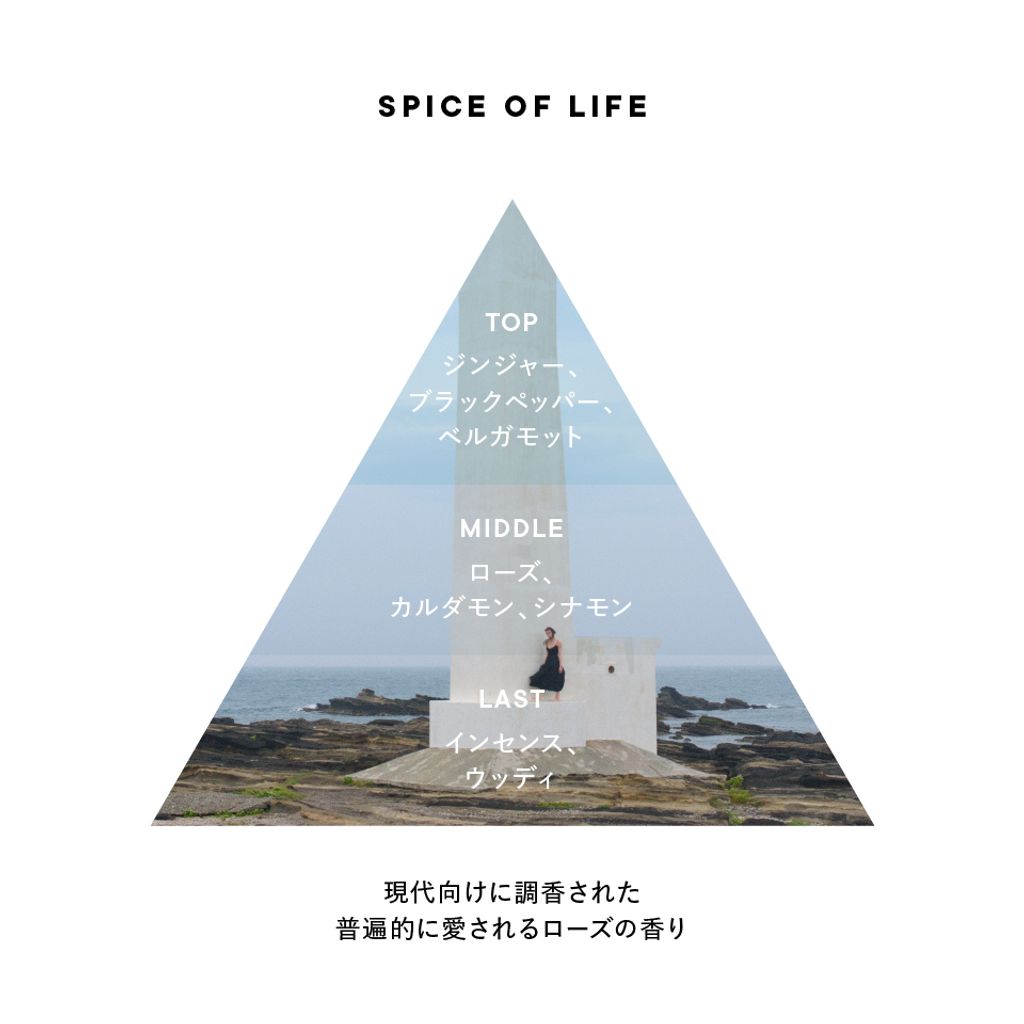 spiceoflife_triangle