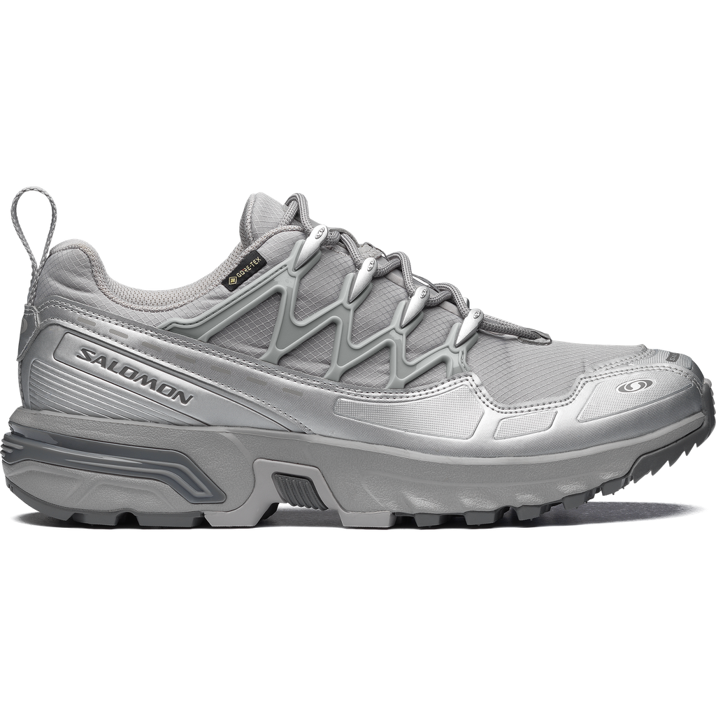 L49093600_0_GHO_ACSPLUSGTXAlloy_Castlerock_FtwSilver