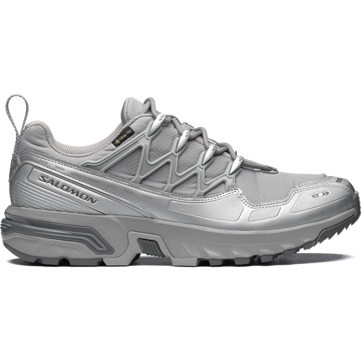 L49093600_0_GHO_ACSPLUSGTXAlloy_Castlerock_FtwSilver